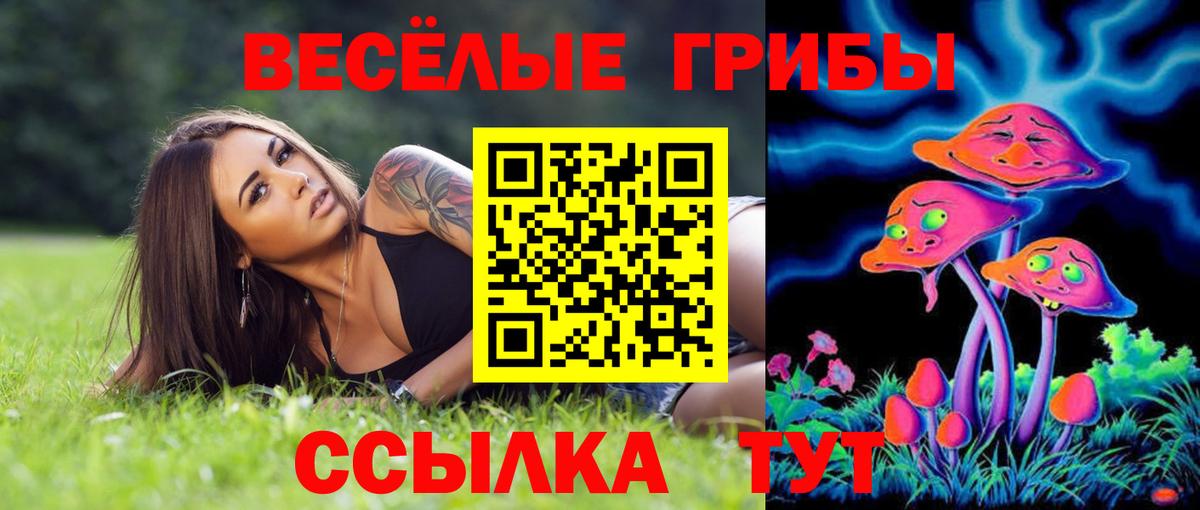 Галлюциногенные грибы Psilocybine cubensis  Вход с VPN  Ревда 